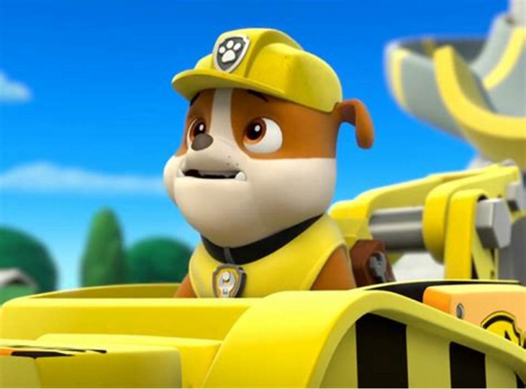 Rubble from PAW Patrol: Everything You Need to Know