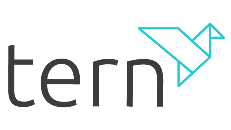 Understanding Tern PLC Share Price: A Comprehensive Analysis