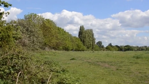 West London Nature Reserve Confirmed as ‘Green Lung’